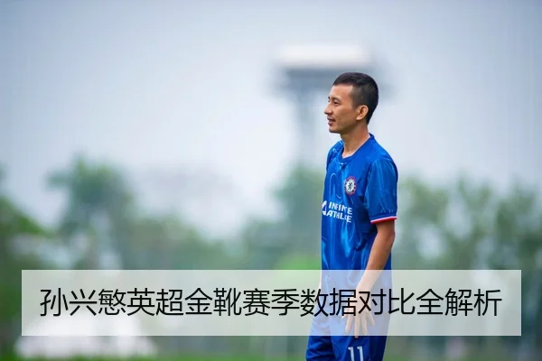 孙兴慜英超金靴赛季数据对比全解析